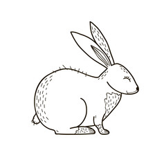 Rabbit line drawing. Vector black and white illustration. Freehand drawing