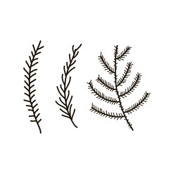 Vector pine tree branches set black silhouettes isolated on white background