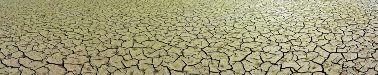 panoramic landscape with cracked earth