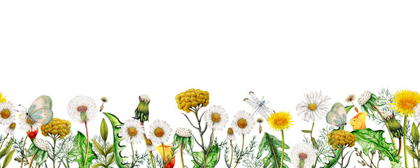 Watercolor seamless banner of garden wildflowers,Seamless floral border - obrazy, fototapety, plakaty