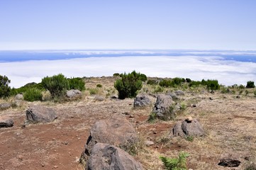 Panoramic view of a desertic place with shrubs above clouds (Madeira, Portugal, Europe)