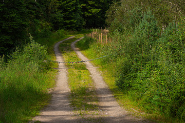 Gravel road in the forest closed by chain and padlock.