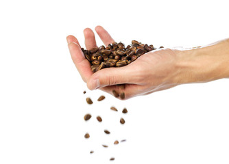 Hand holds a handful of pine nuts. Close up. Isolated on white background