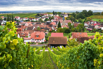 Südpfalz Weinort Pleisweiler-Oberhofen
