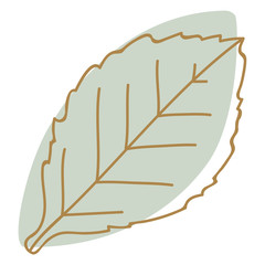 Isolated trendy clip art flora element on the white background. Cartoon flat style.