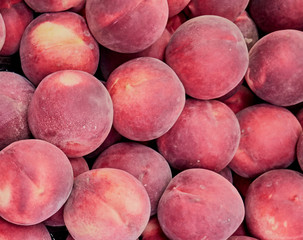 Ripe plums background. A lot of purple plums. Close up