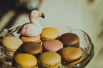 Flamingo toy between macarons of different colors on the glass stand for sweets