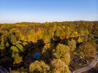 Autumn forest aerial drone view