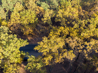 Autumn forest aerial drone view