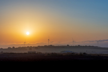 Naklejka premium wind turbines of a wind farm at dawn.
