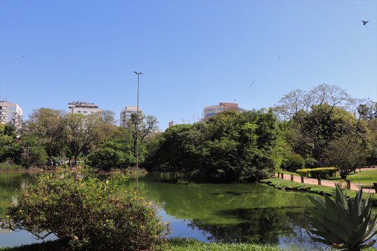  The natural beauties found in the Moinhos de Vento park in Porto Alegre, Rio Grande do Sul.