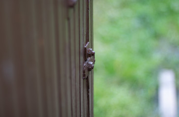An open wooden door in an abandoned barn. Green meadow outside. Close-up.