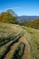 mountain path in Pieniny Mountains, Szczawnica, Poland