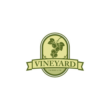 The Wine badge logo design template with Grape tree Vector illustration sign