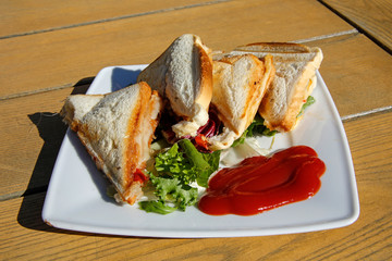 vegetarian toasted sandwich with salad and ketchup