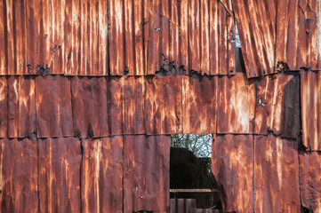 Old weathered corroded rusty tin wall surface panels closeup as grunge background