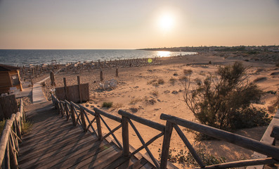 Wooden path leading to the beach #6