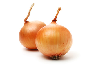 Gold onion vegetable bulbs on white background