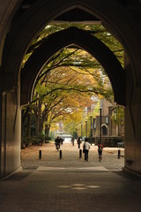 日本の洋館と銀杏の紅葉風景