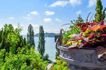 Flower bunch in front of beautiful landscape Lake Constance, isle of Mainau