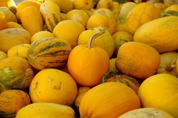 Many pumpkins at the farmers market in Turkey. Harvesting and Thanksgiving concept.