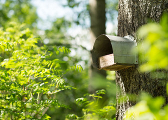 Feeder in the forest. Homemade manger on a tree in the forest.