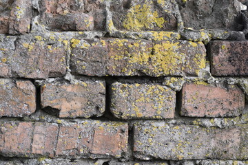 red brick gray with lichens