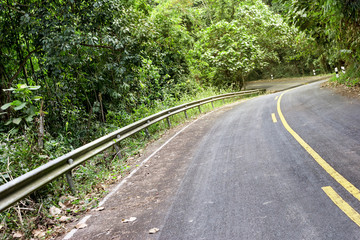 road in the forest with safety guard
