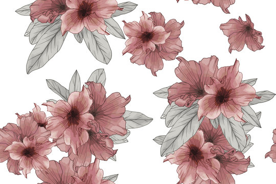 Seamless pattern of red azalea flowers isolate on white background