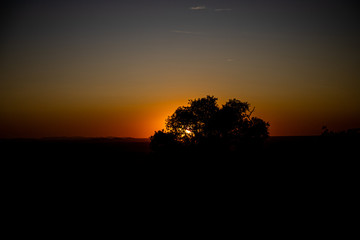 Fototapeta na wymiar Landscape of a sunset in front of a tree in the province of Toledo, Spain