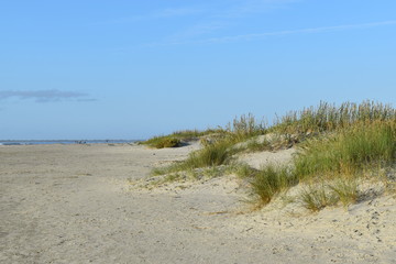 sand dunes. sand. beach. beach and sand. 