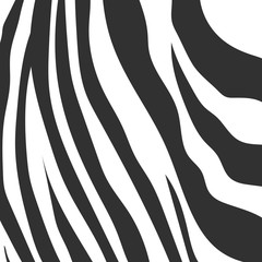 Animal background pattern zebra skin texture. Stock vector illustration