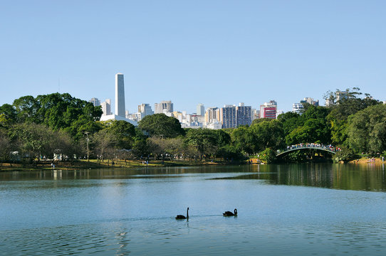 PARQUE IBIRAPUERA
