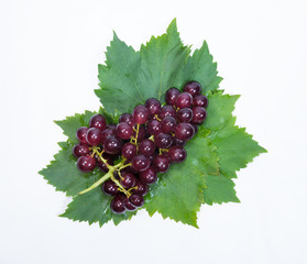 red grapes and leaves with water drops