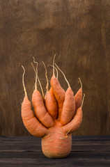 Trendy One ugly carrot on a wooden background. Side view, close-up. Natural and organic products. The concept of using fertilizers and GMOs.