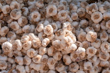 garlic on the local market of Urgup, Cappadocia, Turkey