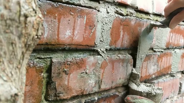 Close up of woman pointing joints of old red brick garden wall. Closeup of hands using trowel and mortar. Authentic DIY renovation project. Copy space.