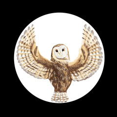 Drawn barn owl with spread wings from the back in a circle isolated