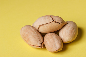 Background: pecan on a yellow background
