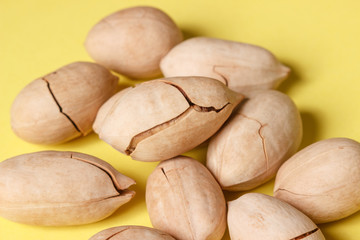 Background: pecan on a yellow background