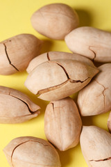 Background: pecan on a yellow background