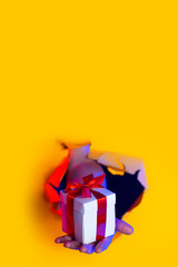 A gift with a red bow in hand emerges from a ragged hole in yellow paper background, illuminated by neon light