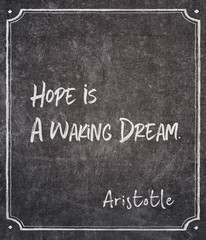 Fototapeta premium waking dream Aristotle