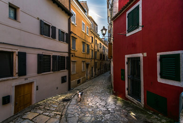 The streets of the old city of Rovinj. The beauty of old Croatia.