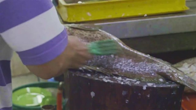 A Man Cleaning Fish With A Large Brush - Hand Held 