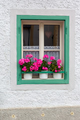 Fototapeta na wymiar rustikales Fenster, rosa Blumen, grüner Rahmen