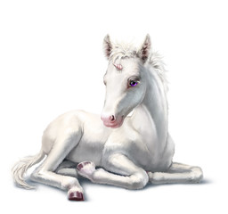 Obraz na płótnie Canvas White unicorn baby, lying, isolated on white
