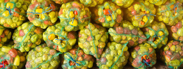 Sacks of fresh bell pepper. Eco-friendly products. Agriculture and farming. Harvest. Harvesting. Freshly harvested. Selective focus