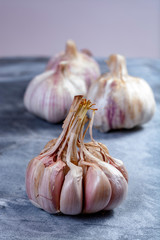 Whole violet garlic bulbs close up on grey marble plank