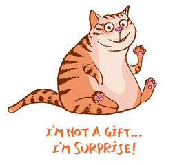 Cat kitty gift surprise smile Happy birthday